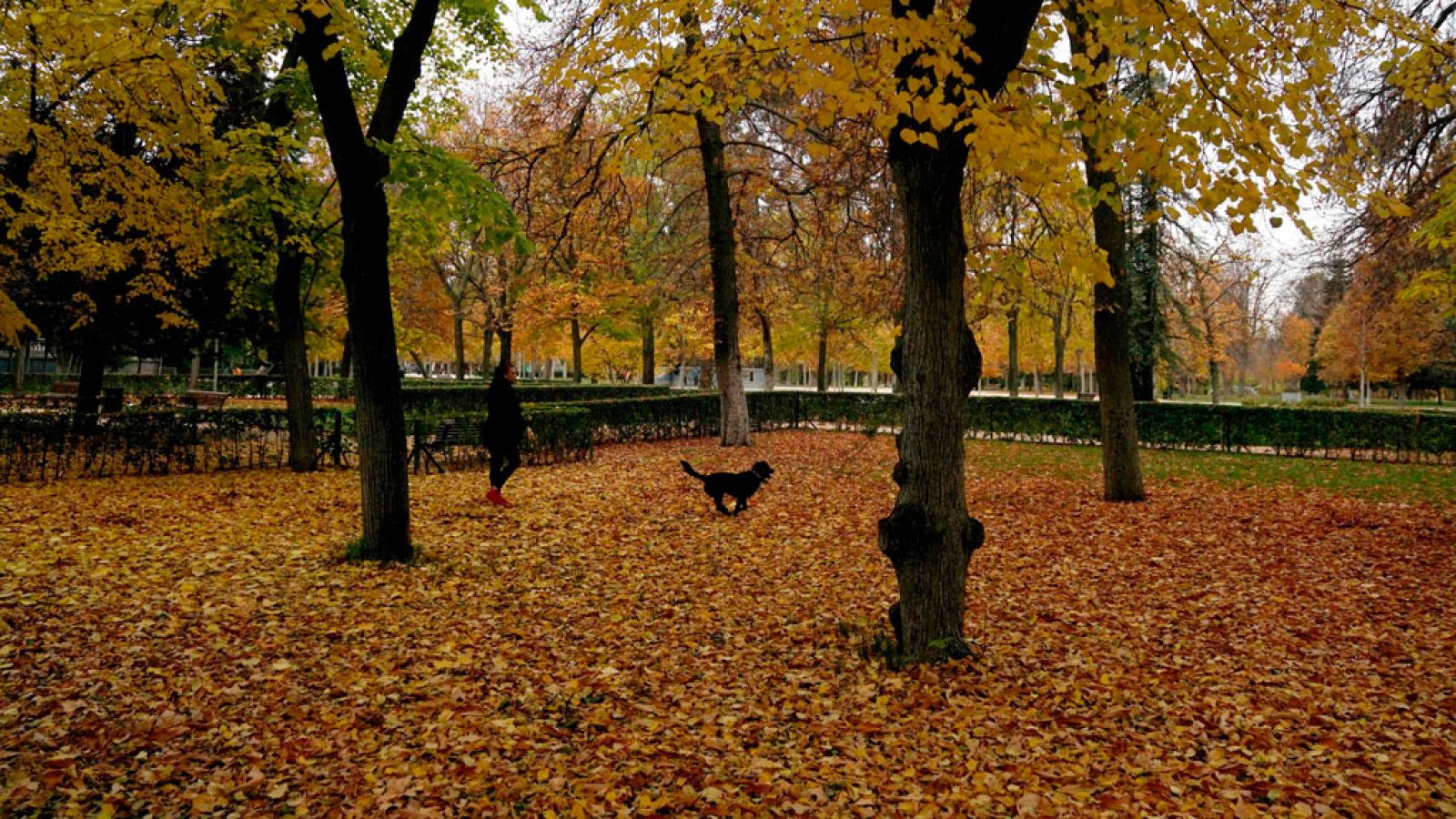 Viento fuerte en Canarias y bajada notable de temperaturas en Levante