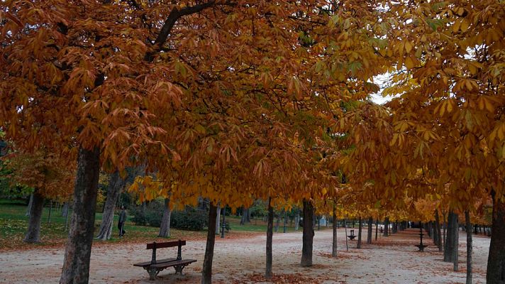El tiempo - Bajan las temperaturas en Cataluña y Andalucía y suben en Canarias