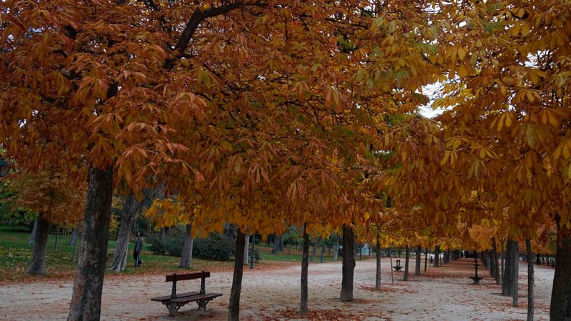 Bajan las temperaturas en Cataluña y Andalucía y suben en Canarias