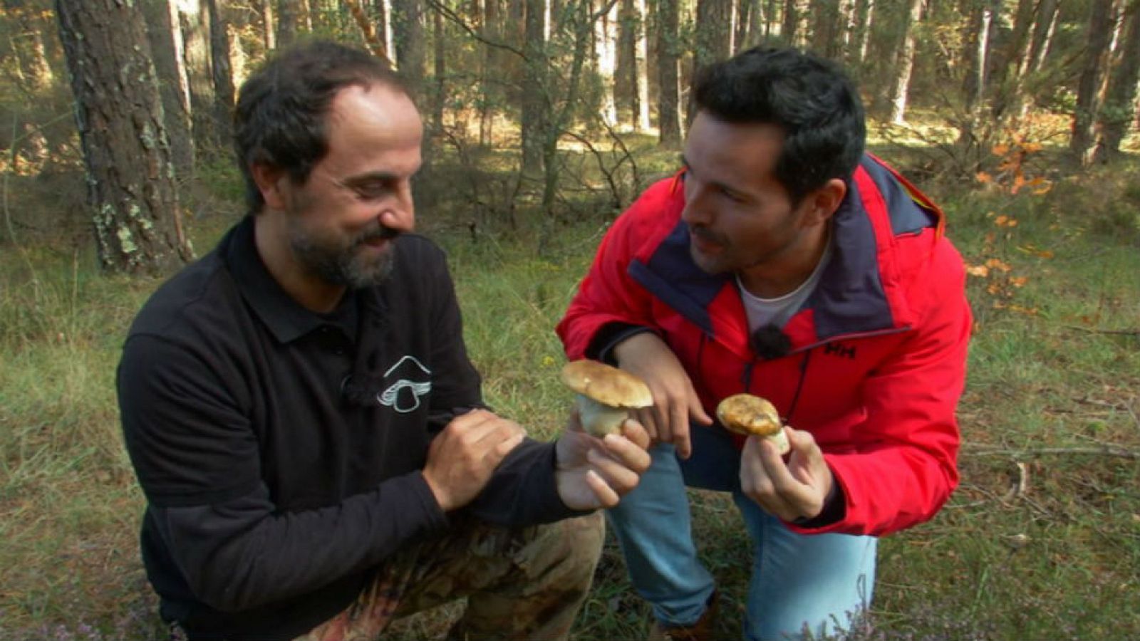 ¡Estos boletus, los conocemos bien!