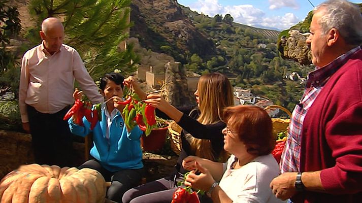 España Directo - España Directo - 27/11/17