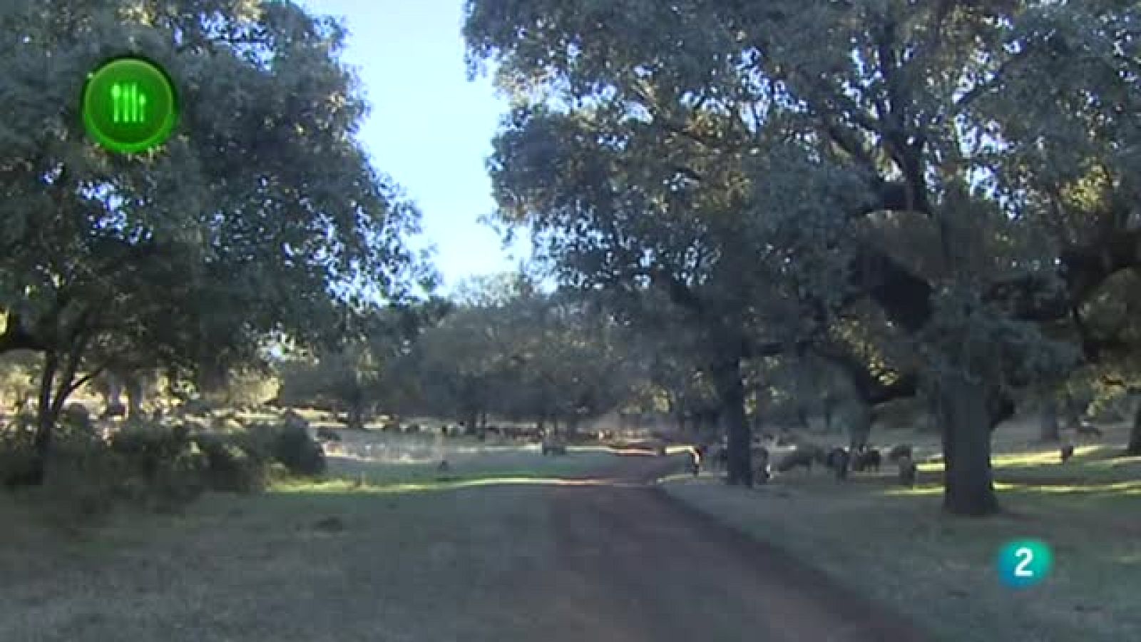 Con mucho gusto, Trazabilidad Ibérico