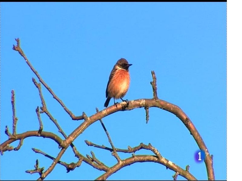 El tiempo en Asturias - 28/11/17 | Ver