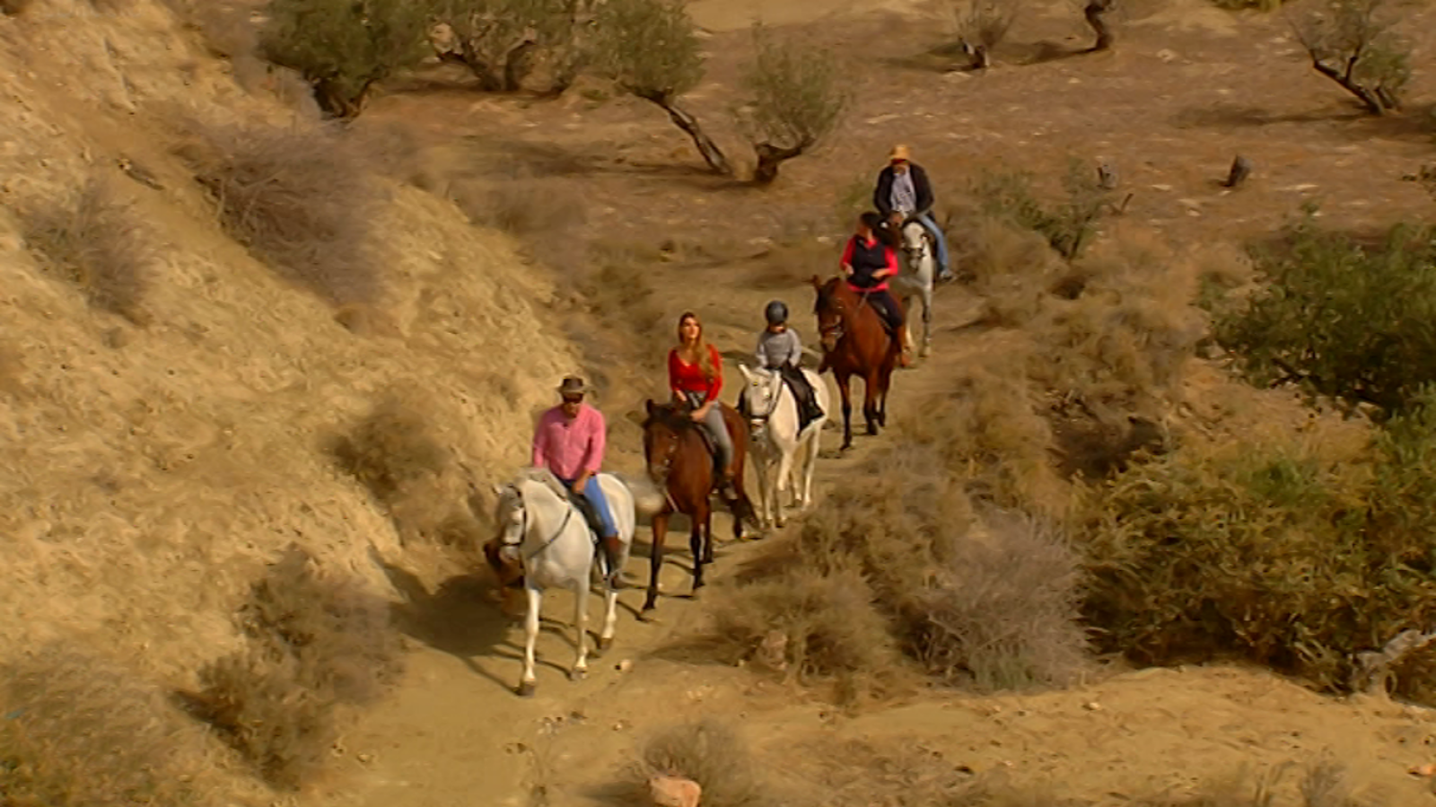 España Directo - 28/11/17 - ver ahora