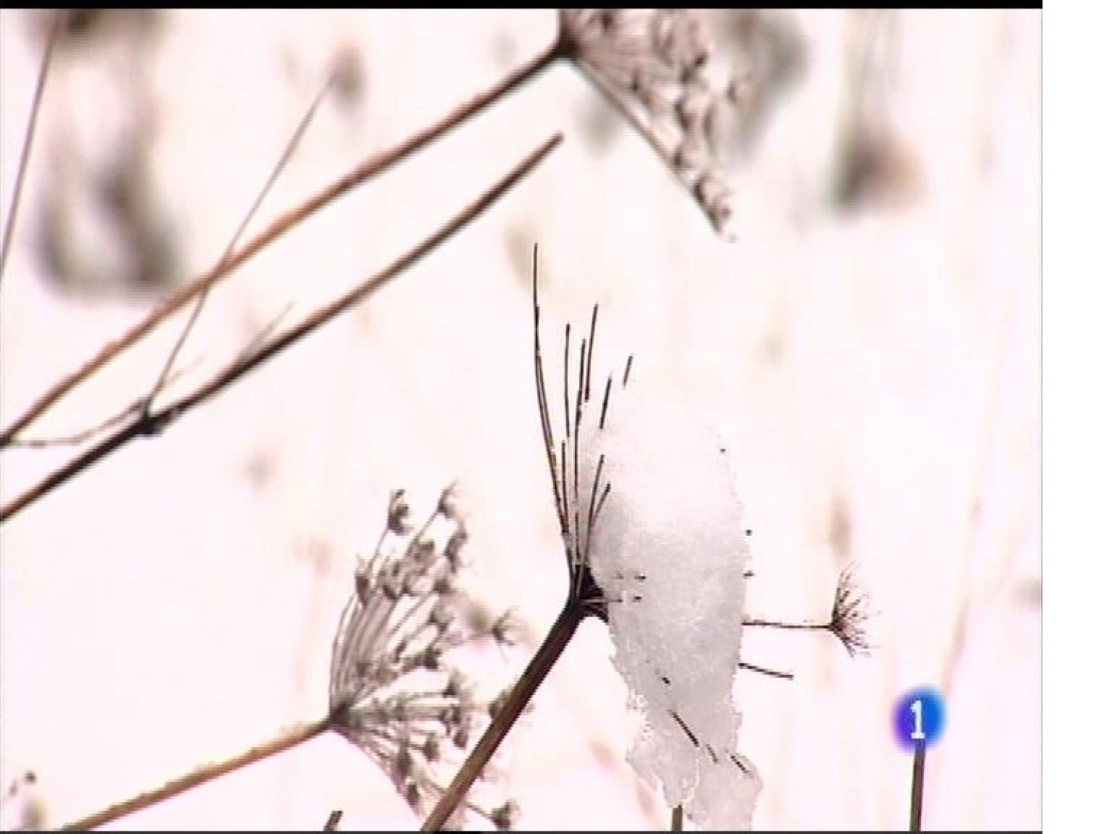 El tiempo en Asturias - 29/11/17 | Ver