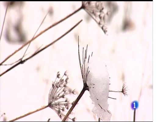 Panorama Regional - El tiempo en Asturias - 29/11/17