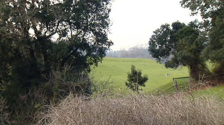 España en 24h - España en 24 horas - 29/11/17