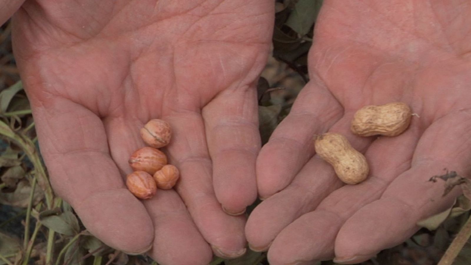 Aquí la Tierra - 29/11/17 - ver ahora