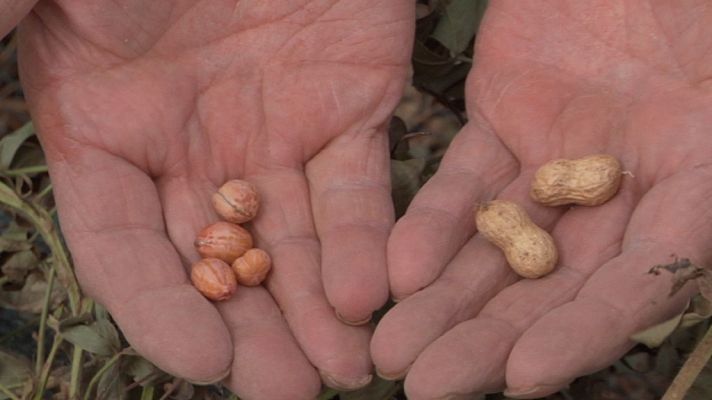 Aquí la Tierra - Aquí la Tierra - 29/11/17