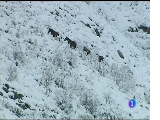 Panorama Regional - El tiempo en Asturias - 30/11/17