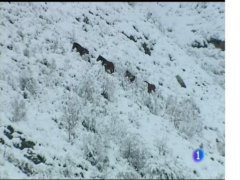 El tiempo en Asturias - 30/11/17 | Ver