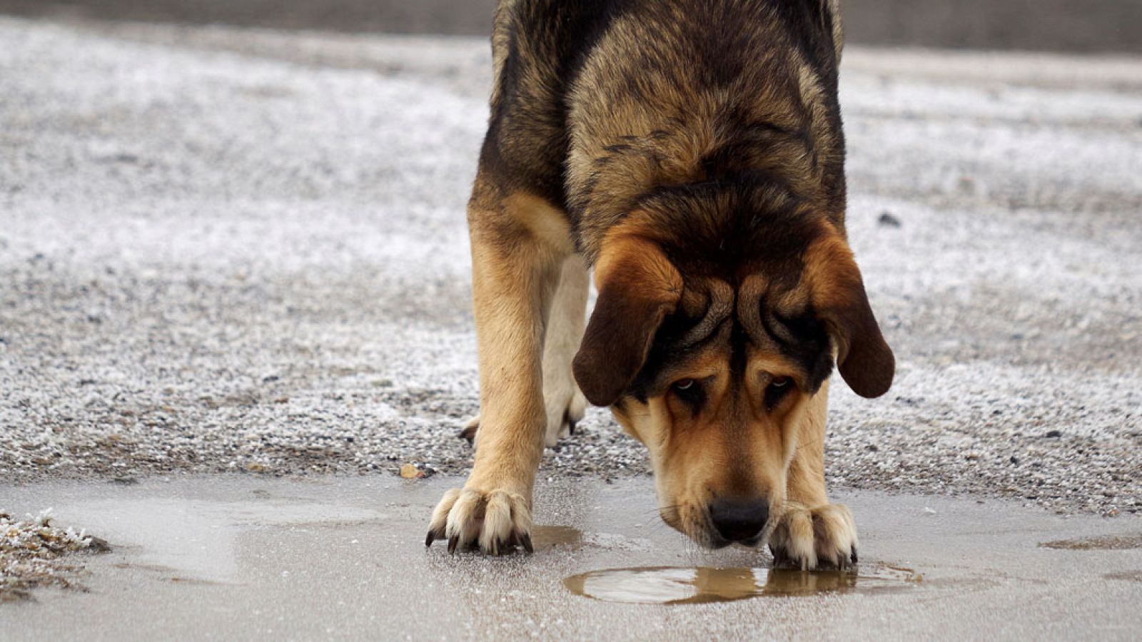 El Tiempo en la Comunidad de Madrid - 01/12/17