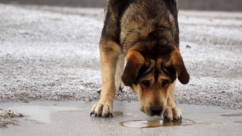 El Tiempo en la Comunidad de Madrid - 01/12/17