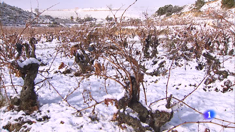 Informativo Telerioja - 1/12/17 | Ver