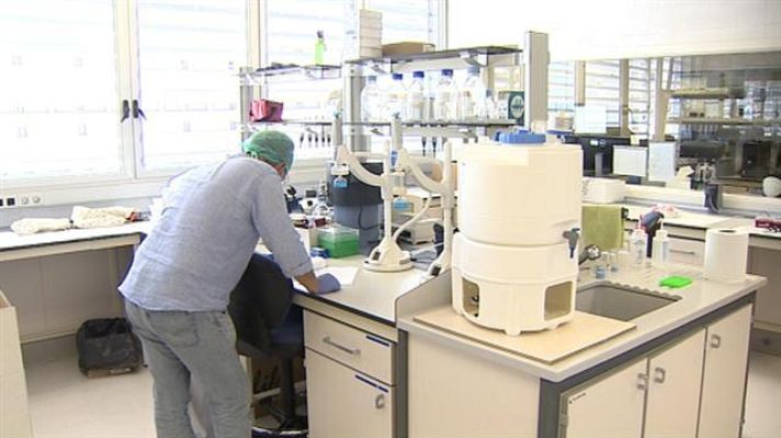 Telecanarias - Canarias en 2' - 01/12/2017