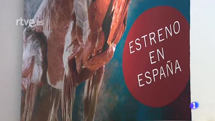  - Sevilla estrena la exposición "Animal Inside out", la vida salvaje al descubierto