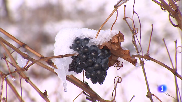 Informativo Telerioja - Informativo Telerioja 2 - 1/12/17