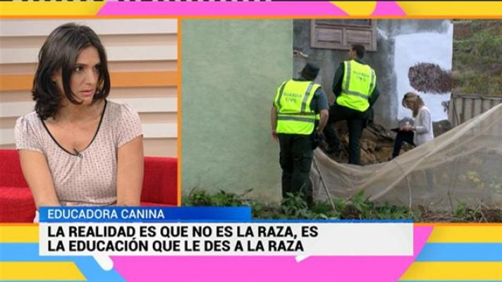 Cerca de ti - Cerca de ti - 01/12/2017