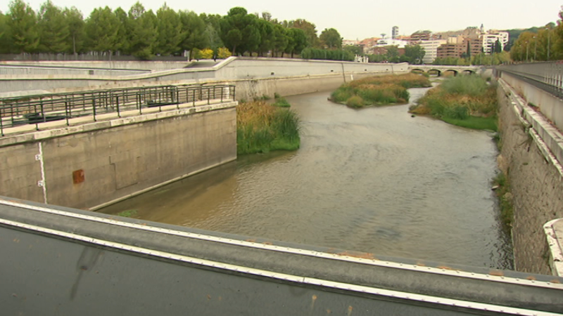 El escarabajo verde - Ciudadano río