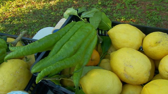 Aquí la Tierra - Aquí la Tierra - 01/12/17