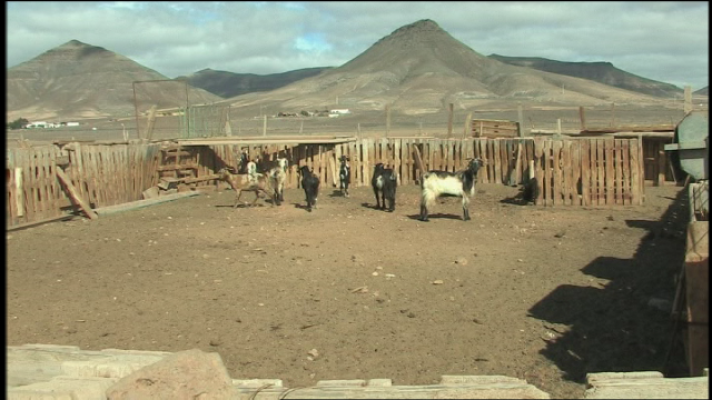 Telecanarias - Telecanarias 2 - 29/11/2017