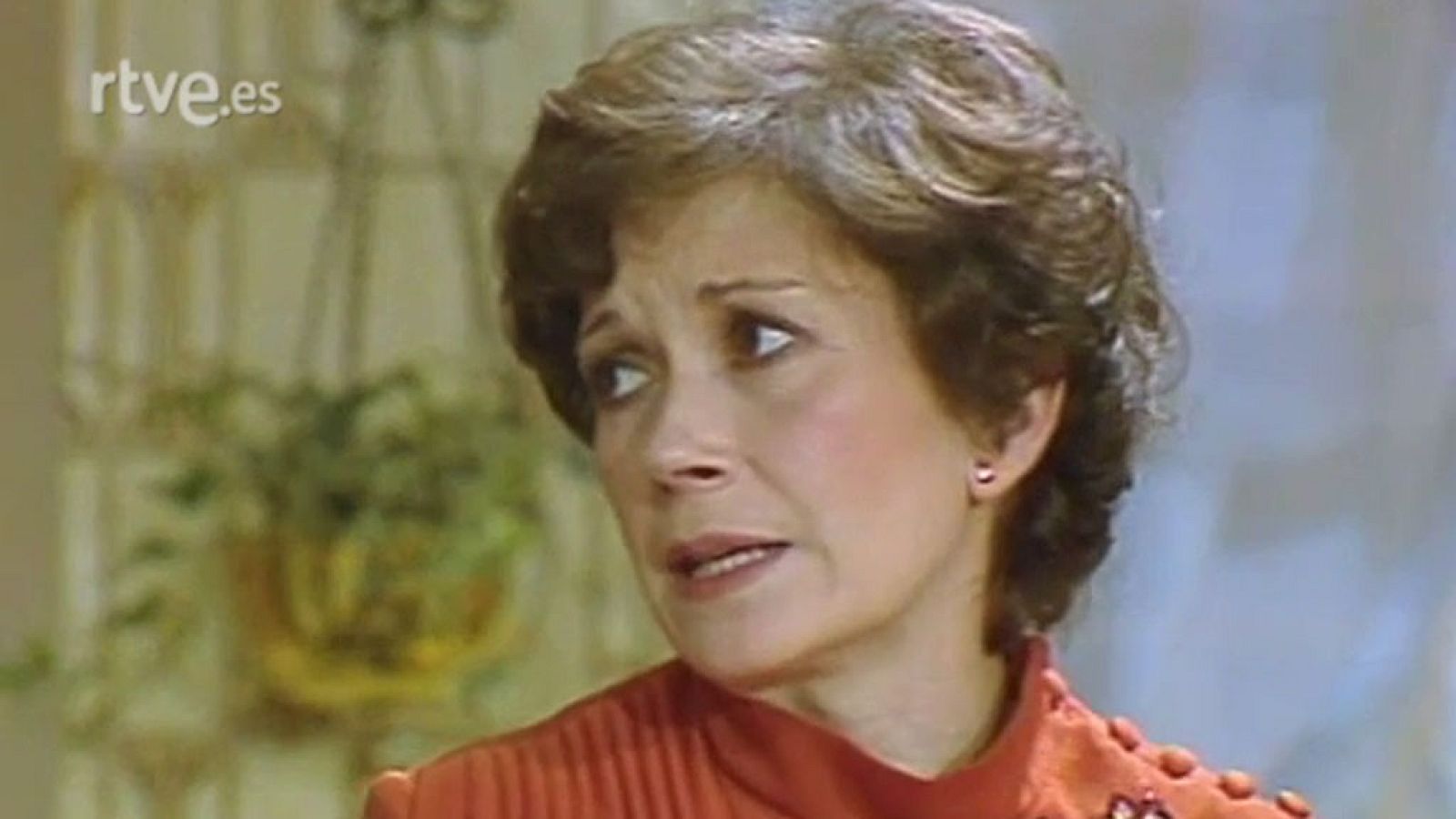 Deliciosamente absurdos - Primera Navidad