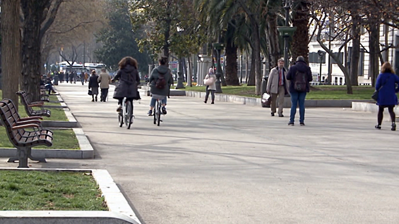 Seguridad Vital - 03/12/17 - ver ahora