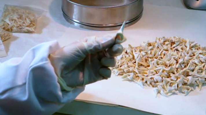 Fábrica de ideas - Incuba: Universidad de Vigo