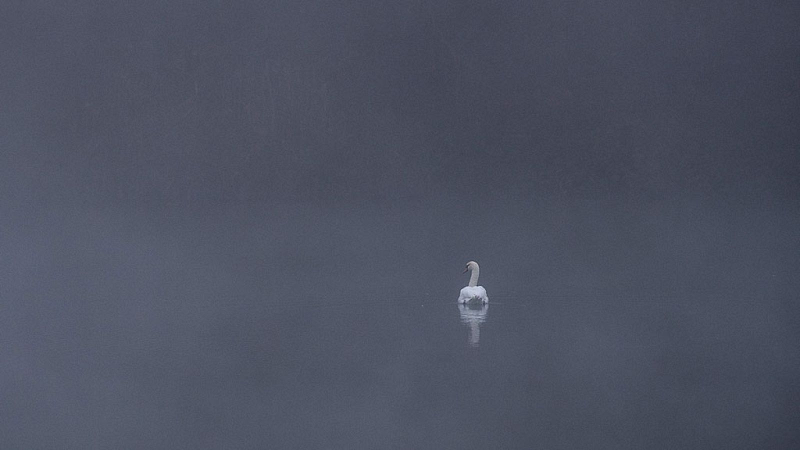 Descenso significativo de las temperaturas nocturnas