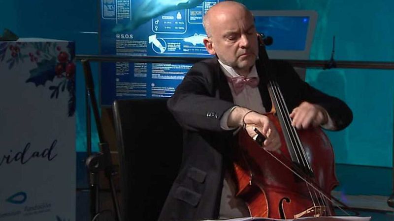 L'Informatiu - Comunitat Valenciana 2 - 04/12/17 - ver ahora