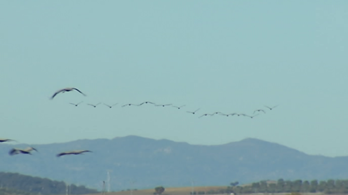 España en 24h - España en 24 horas - 04/12/17