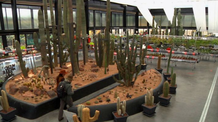 Aquí la Tierra - Un jardín acorde con nuestro clima