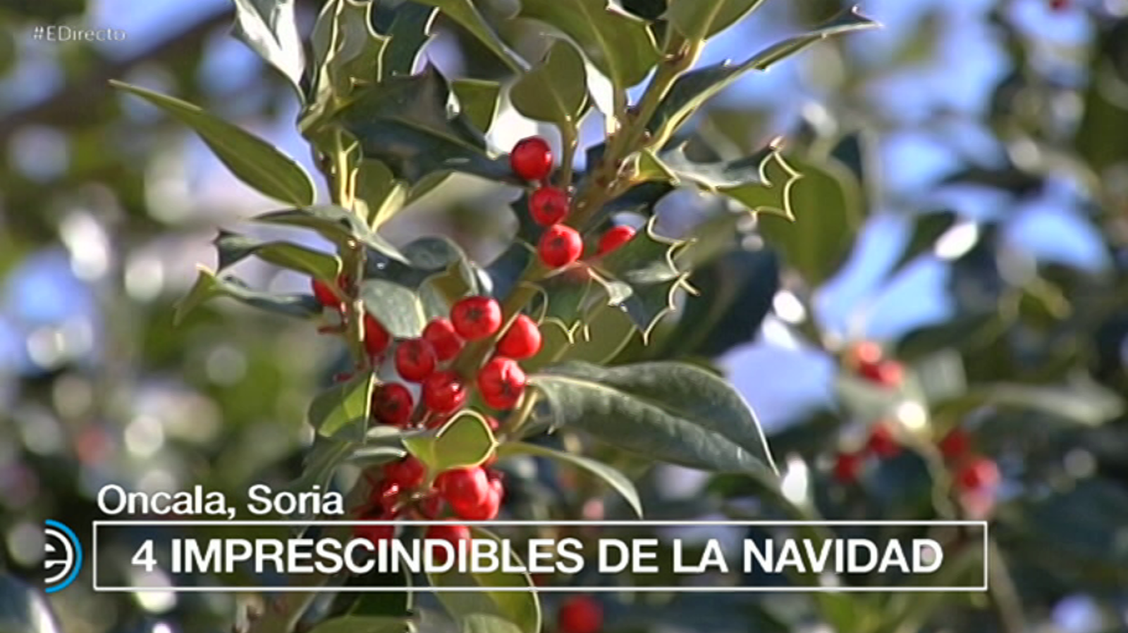 España Directo - 05/12/17 - ver ahora