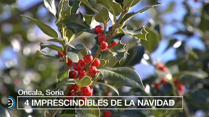 España Directo - España Directo - 05/12/17