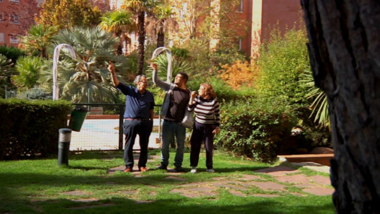 Una pareja de búhos en el barrio
