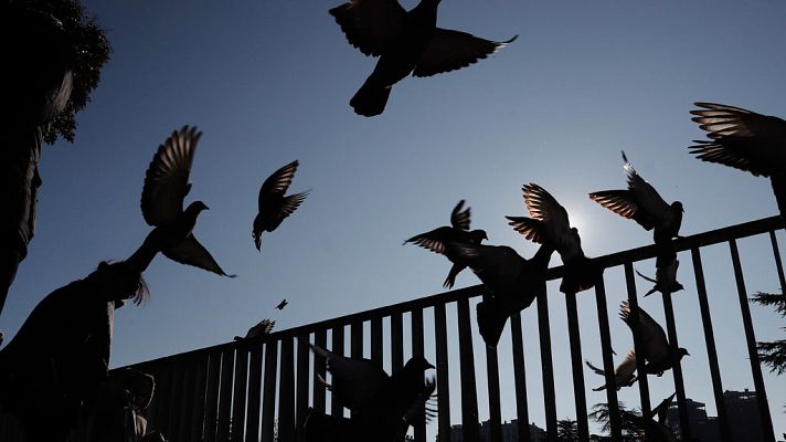 El tiempo - Temperaturas significativamente bajas en zonas del interior de la mitad este peninsular