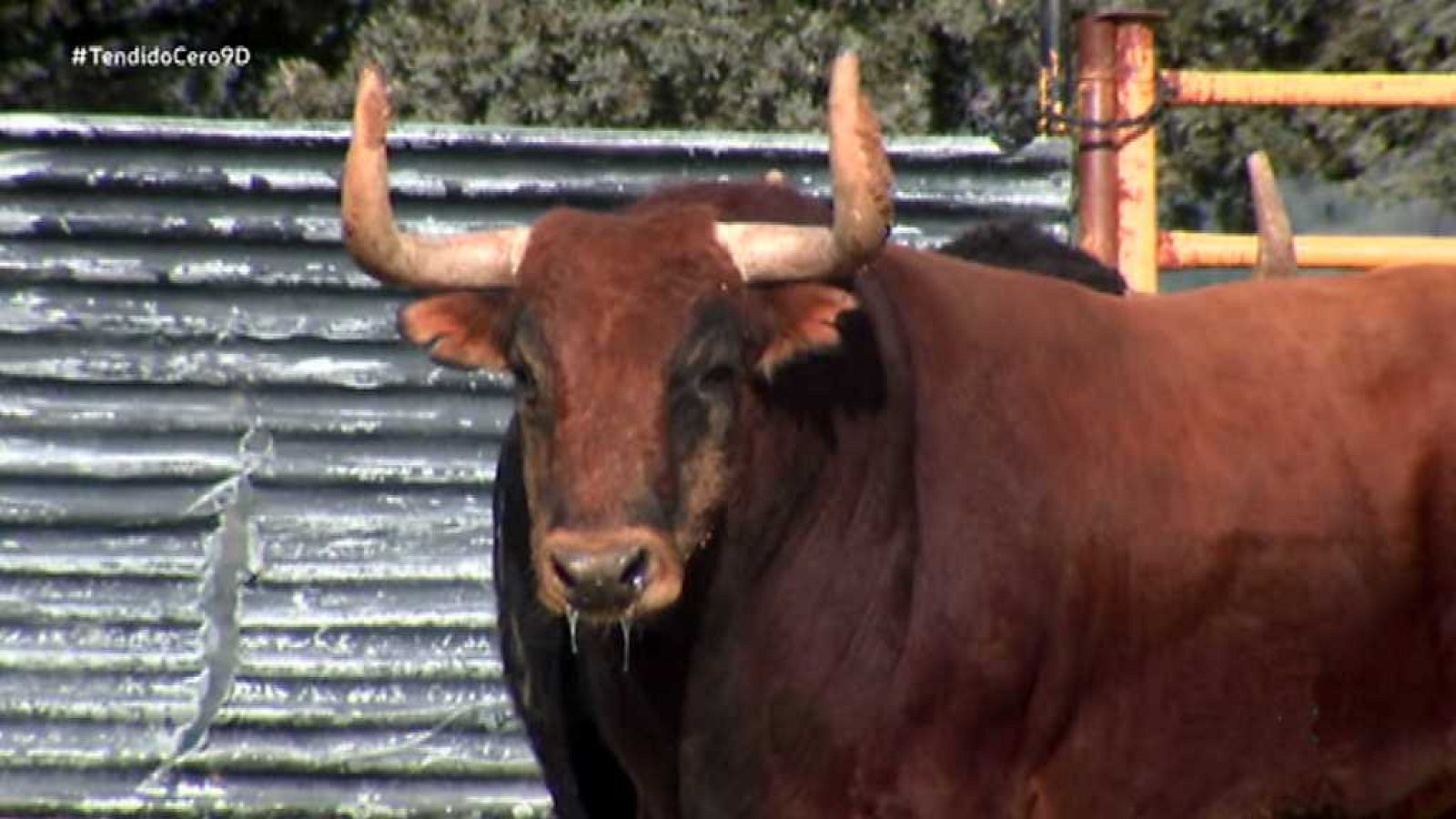 Tendido Cero - 09/12/17 - ver ahora