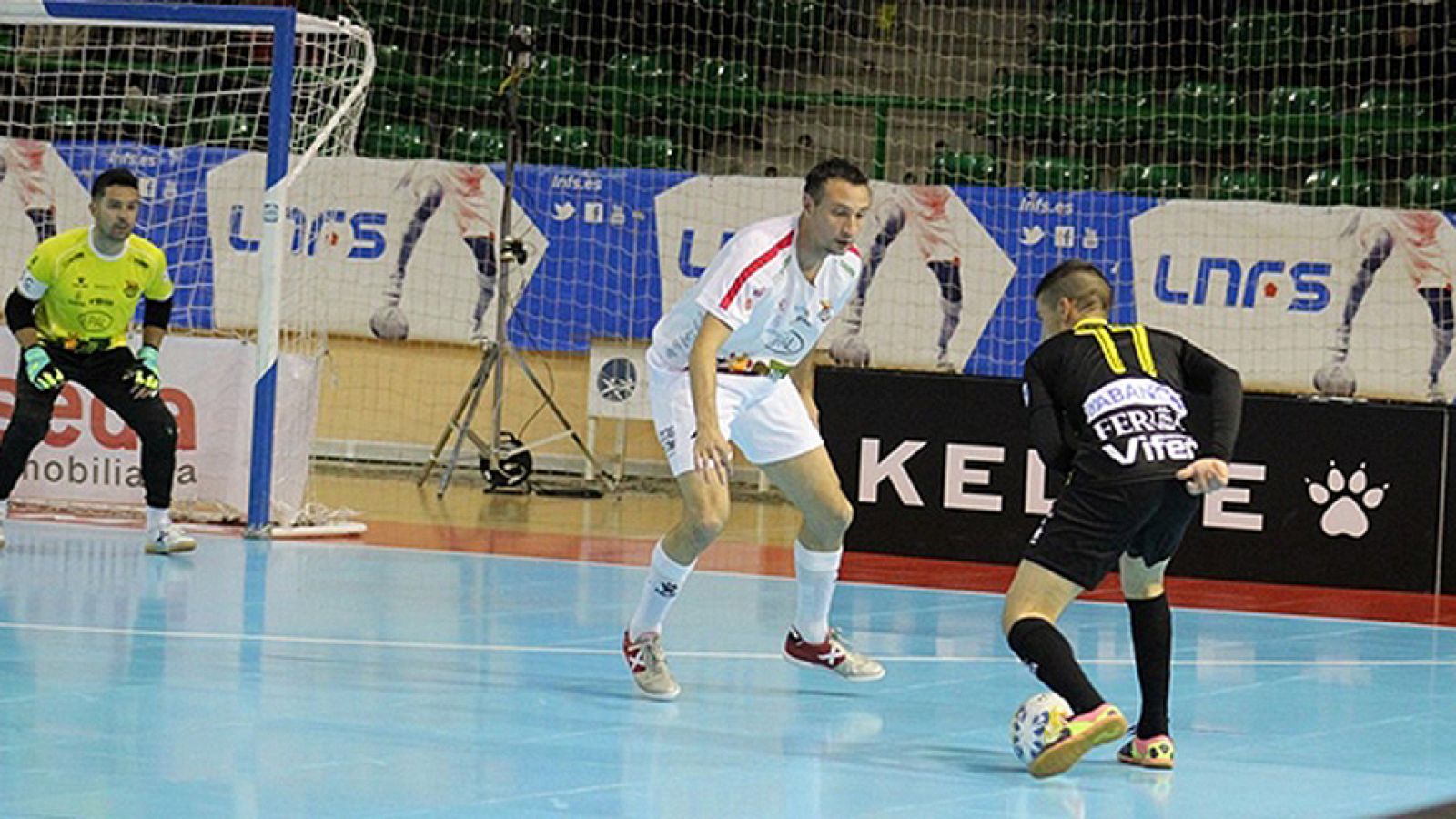 LNFS, jornada 14. Resumen:  Naturpellet Segovia 2-2 O Parrulo Ferrol | Ver