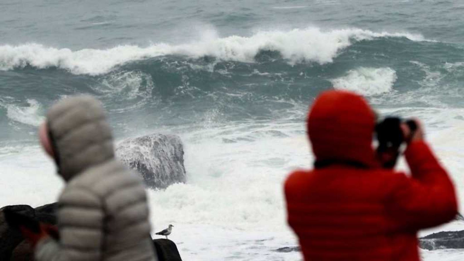 14H - 10/12/17 - ver ahora
