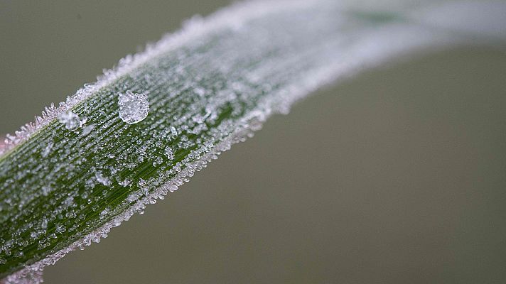 Informativo de Madrid - El Tiempo en la Comunidad de Madrid - 11/12/17
