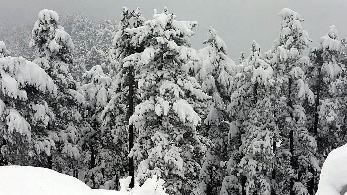 Informativo de Madrid - Informativo de Madrid - 11/12/17