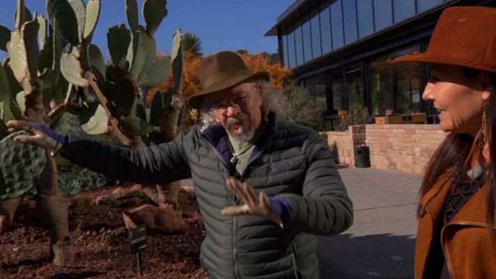 Aquí la Tierra - Propiedades de la chumbera