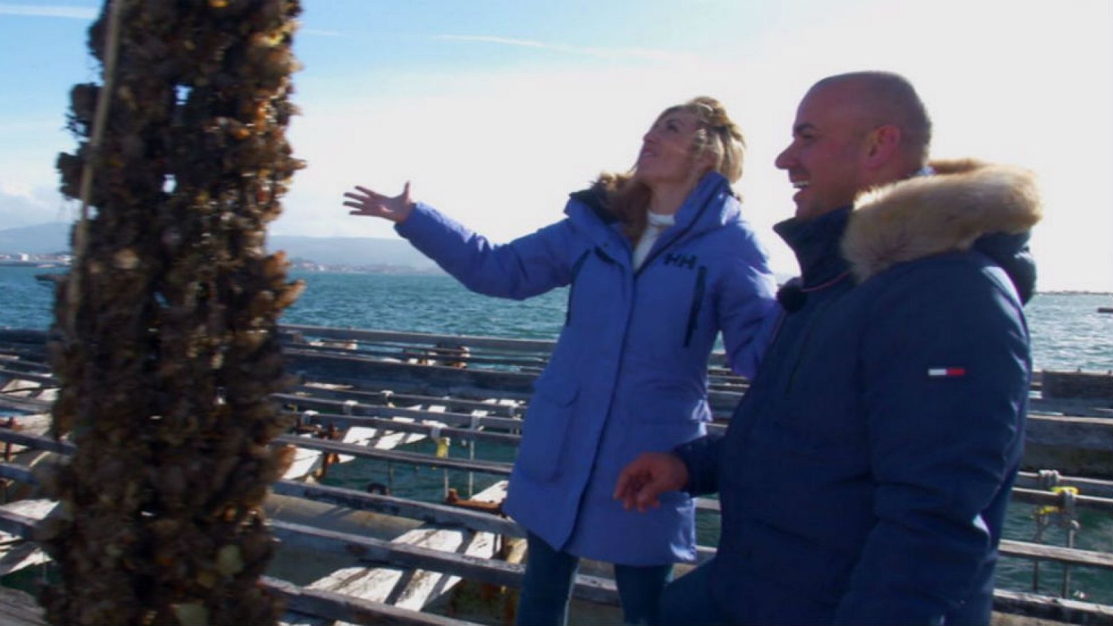 Ostras, ¿serán afrodisíacas?