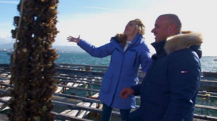 Aquí la Tierra - Ostras, ¿serán afrodisíacas?