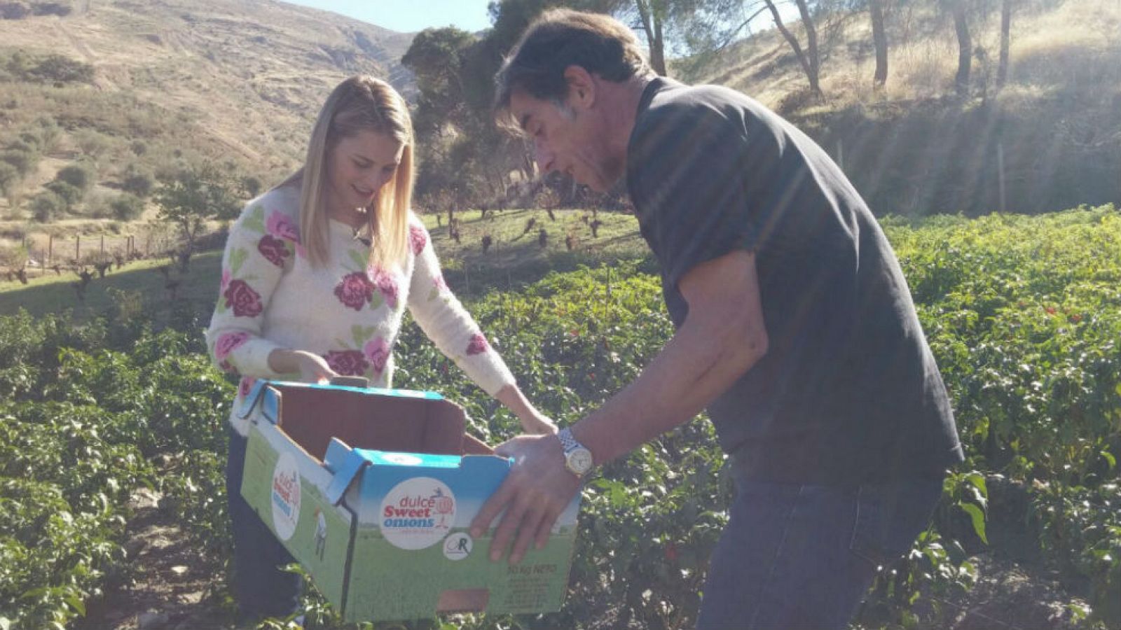 Chiles a pie de Sierra Nevada