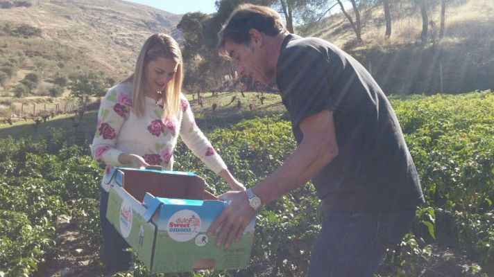 Aquí la Tierra - Chiles a pie de Sierra Nevada