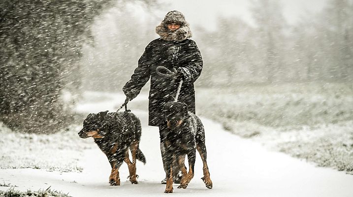Telediario 1 - Temporal Ana en Europa: vuelos cancelados y destrozos