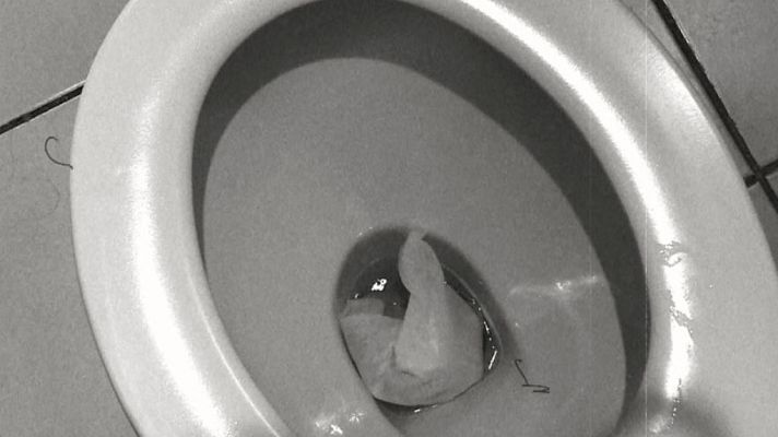 Repor - Todo por el wc