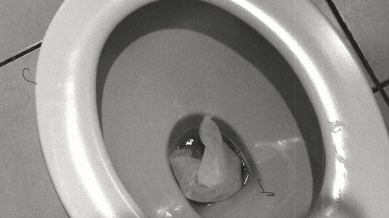 Repor - Todo por el wc