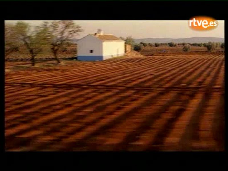 Informe semanal - Todo sobre Almodóvar: El director compite en Cannes por primera vez